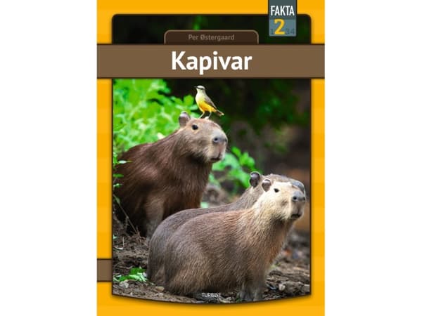 Kapivar | Per Østergaard