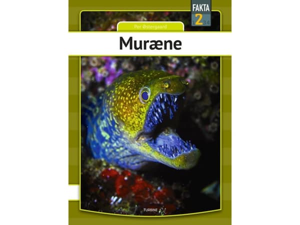 Muræne | Per Østergaard