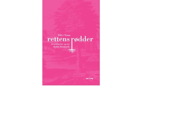 Rettens rødder | Ditlev Tamm