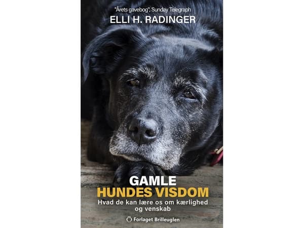 Gamle hundes visdom | Elli H. Radinger | Språk: Dansk