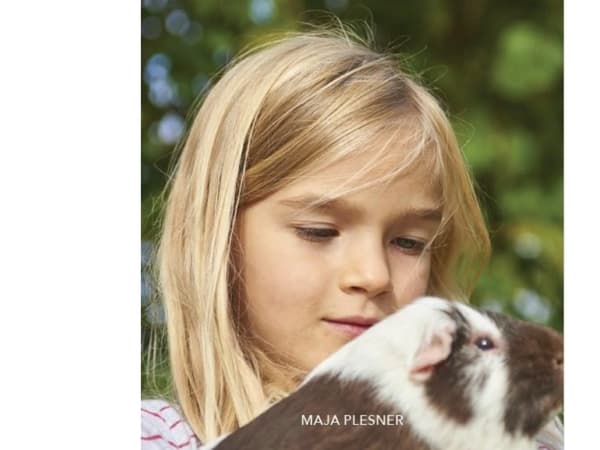 Marsvin, Grøn Fagklub | Maja Plesner
