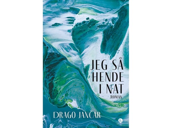 Jeg så hende i nat | Drago Jančar