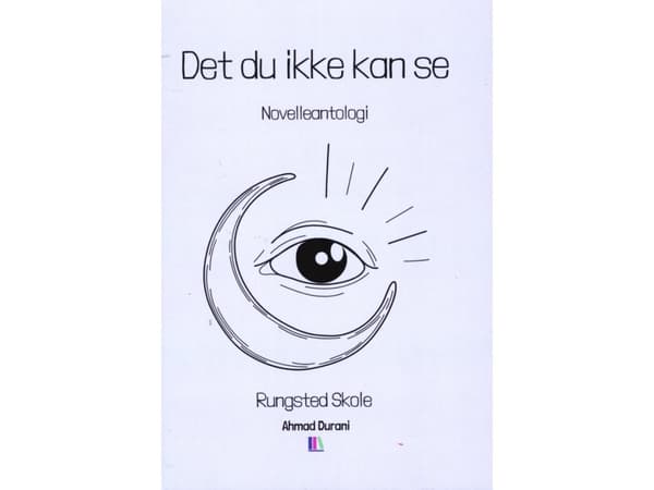 Det du ikke kan se - Novelleantologi - Rungsted Skole | Ahmad Durani m.fl.