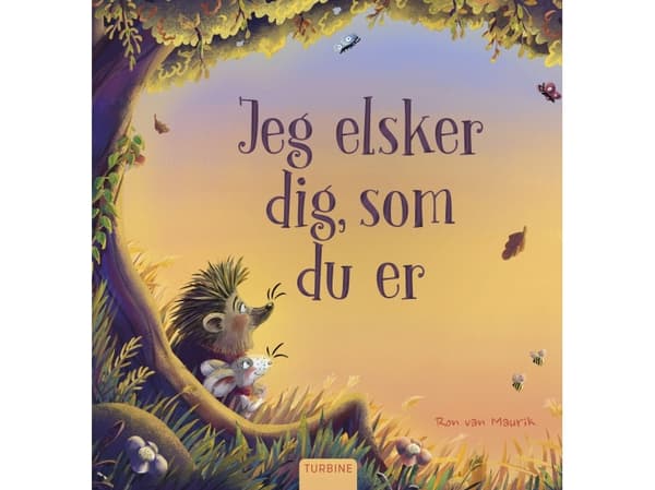 Jeg elsker dig, som du er | Ron van Maurik