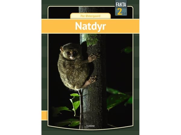 Natdyr | Per Østergaard