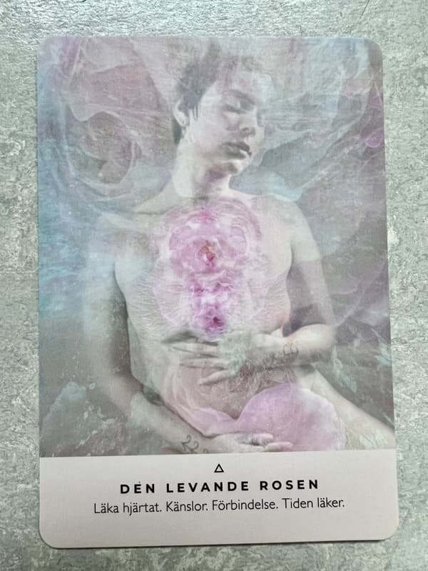 Rosenoraklet NYHET!