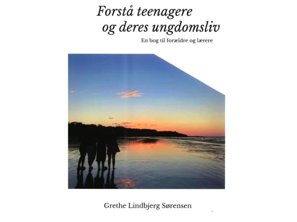 Forstå teenagere og deres ungdomsliv. | Grethe Lindbjerg Sørensen