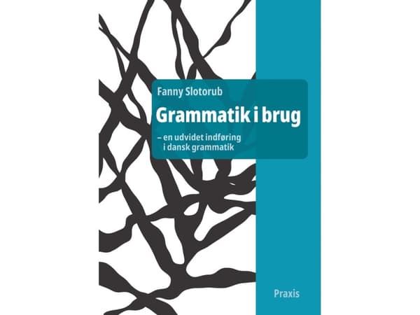 Grammatik i bruk - en utökad introduktion till dansk grammatik | Fanny Slotorub | Språk: Danska