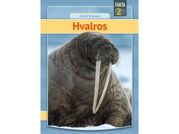 Hvalros | Henrik Enemark