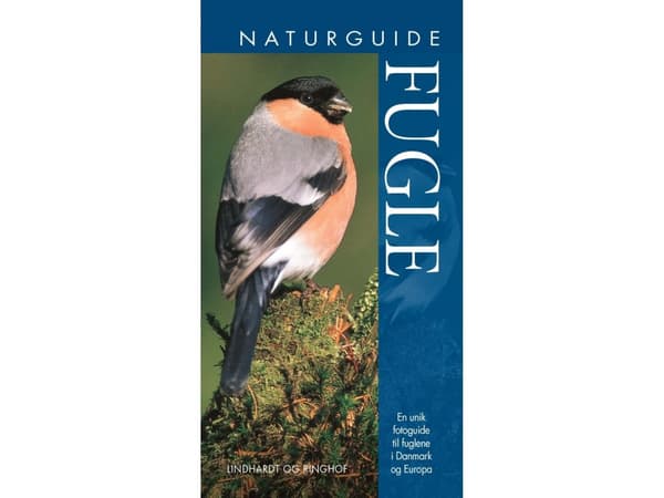 Naturguide Fugle | Jonathan Elphick