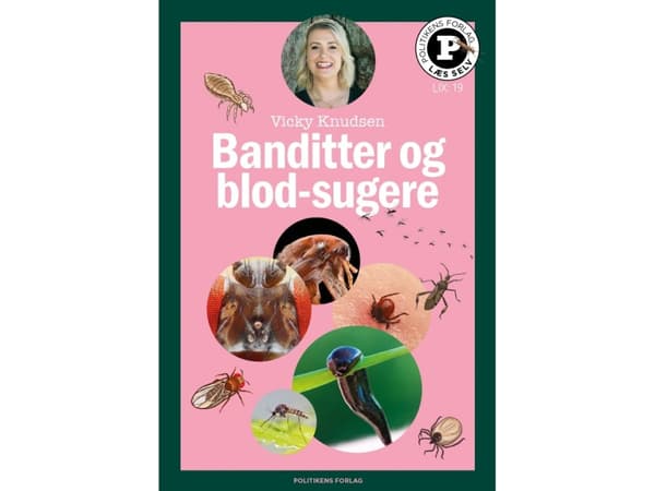 Banditter og blod-sugere - Læs selv-serie | Vicky Knudsen | Språk: Dansk