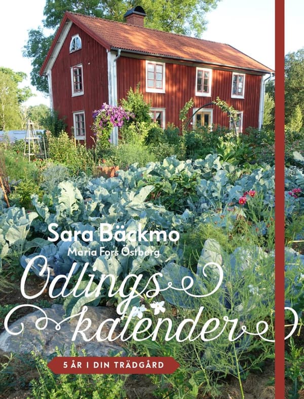 Odlingskalender - 5 År I Din Trädgård (Bok)