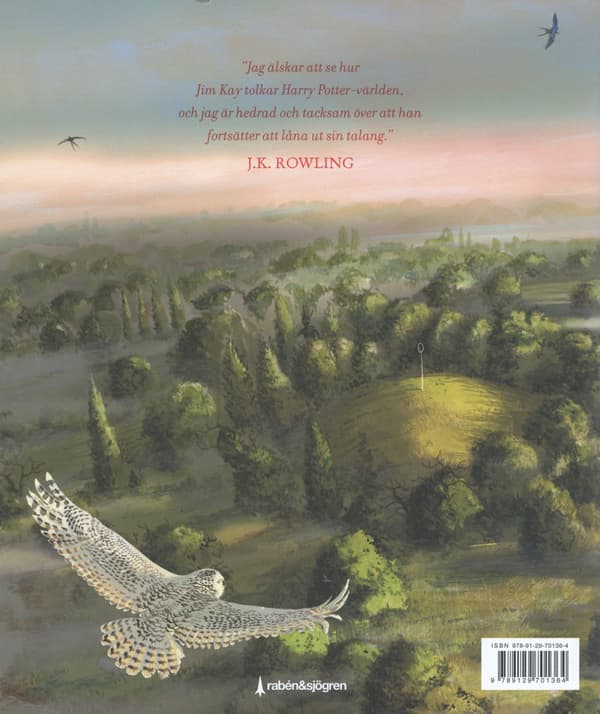 Harry Potter Och Hemligheternas Kammare (Bok)