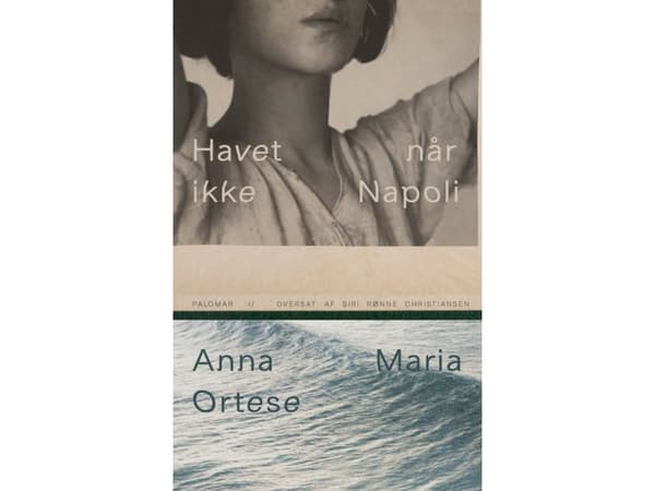 Havet når ikke Napoli | Anna Maria Ortese | Språk: Danska