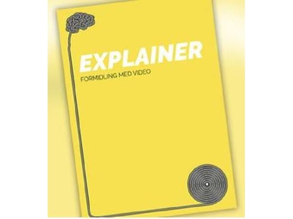 Explainer | Flemming Kjærrumgaard Madsen
