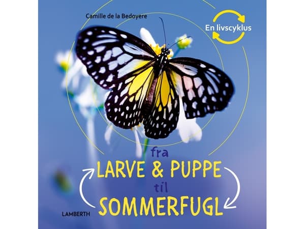 Fra larve og puppe til sommerfugl | Camilla de la Bédoyère