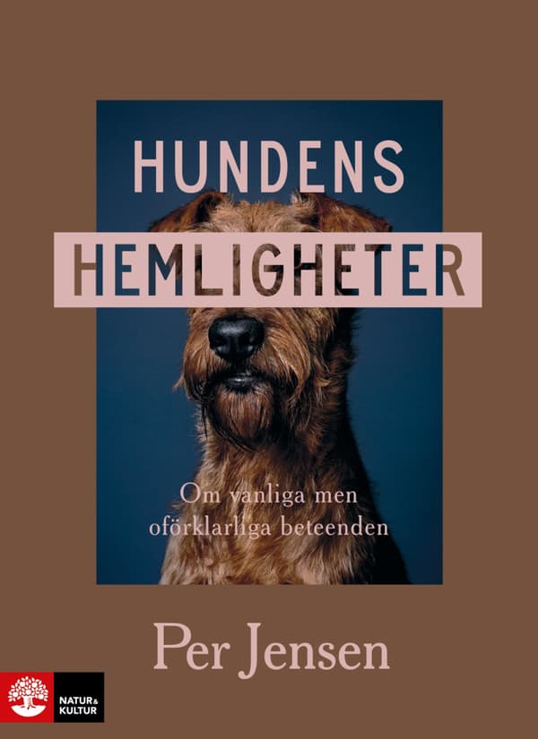 Hundens Hemligheter - Om Vanliga Men Oförklarliga Beteenden (Bok)