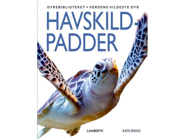 Havskildpadder | Kate Riggs