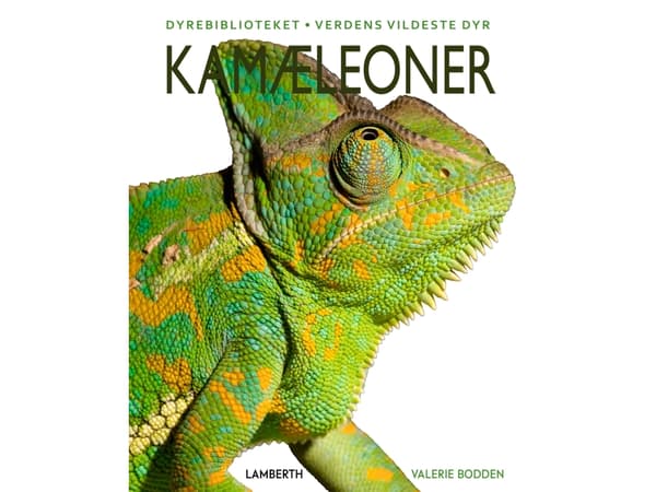 Kamæleoner | Kate Riggs | Språk: Dansk