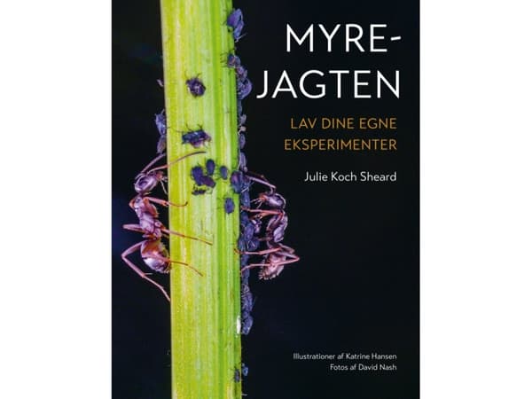 Myrejagten | Julie Koch Sheard