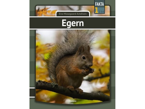 Egern | Eva Mosegaard Amdisen
