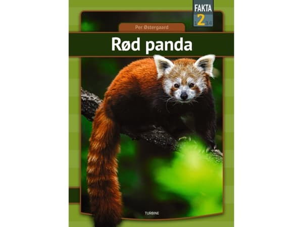 Rød panda | Per Østergaard