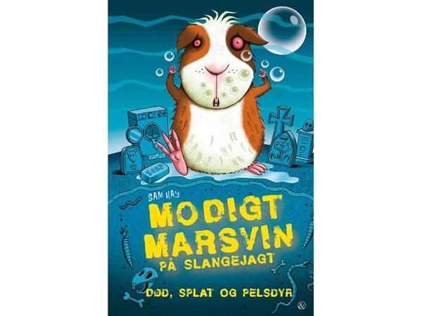 Modigt marsvin på slangejagt | Sam Hay