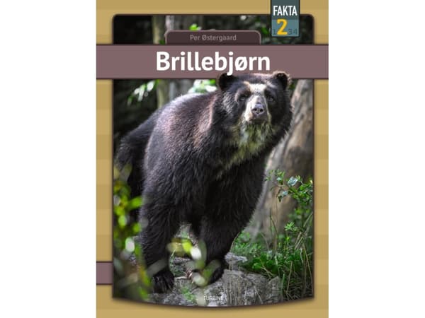 Brillebjørn | Per Østergaard