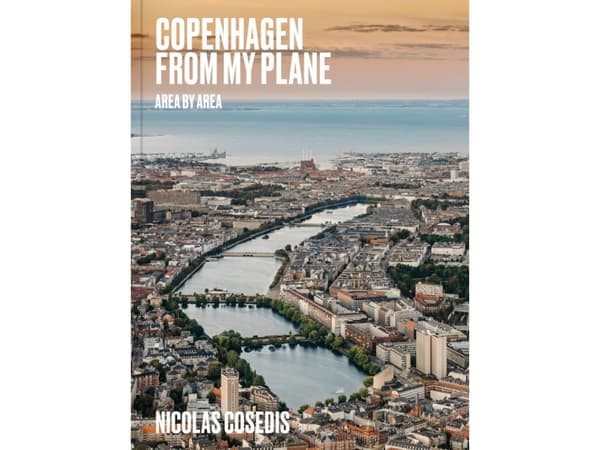 Copenhagen from My Plane | Nicolas Cosedis
