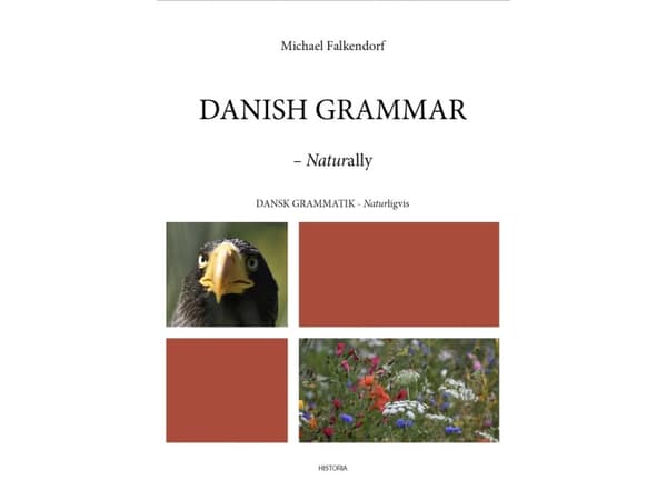 Danish Grammar | Michael Falkendorf