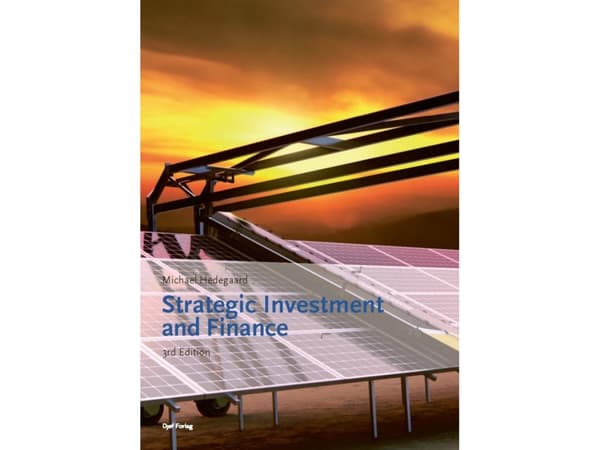Strategic Investment and Finance | Michael Hedegaard