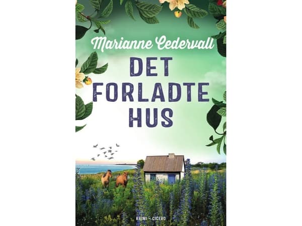 Det forladte hus | Marianne Cedervall