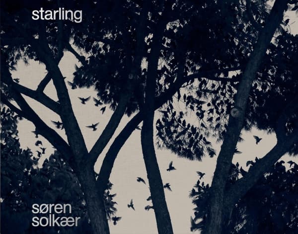 Starling | Søren Solkær