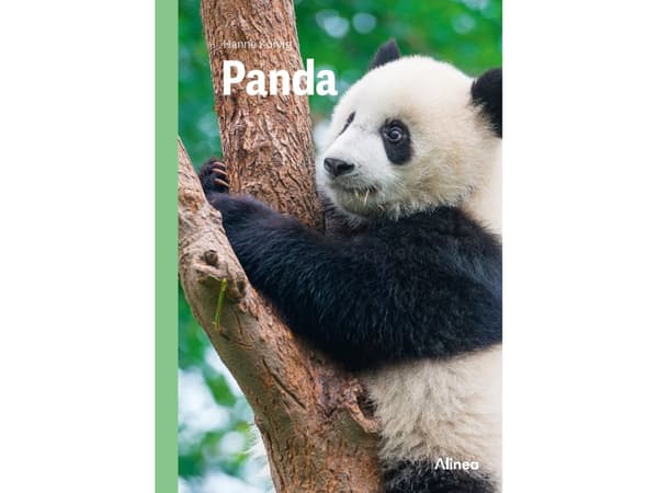 Panda, Grøn Fagklub | Hanne Korvig