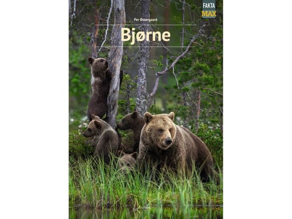 Bjørne | Per Østergaard