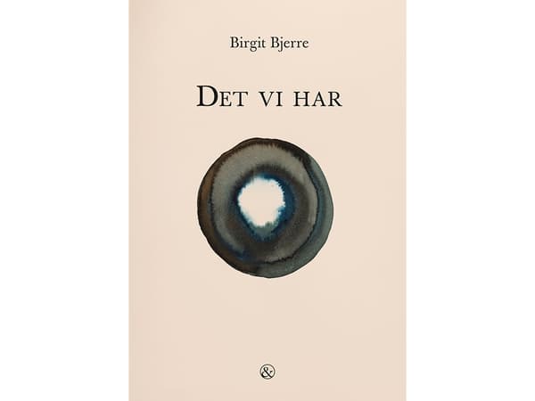 Det vi har | Birgit Bjerre