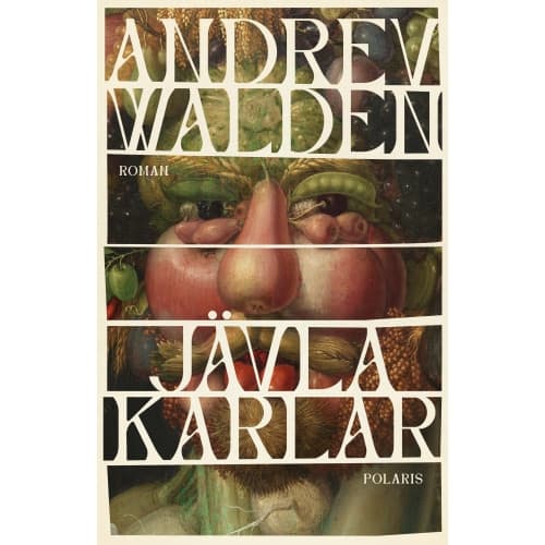 Jävla karlar (inbunden)