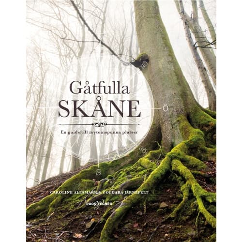 Gåtfulla Skåne : en guide till mytomspunna platser (bok, flexband)