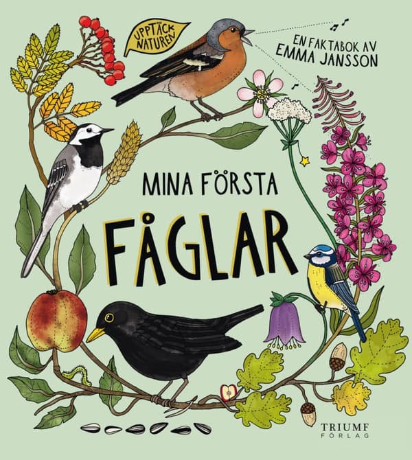 Mina Första Fåglar (Bok)
