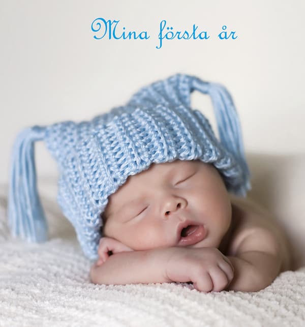 Mina Första År - Blå (Bok)