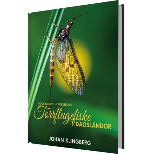 Torrflugefiske : dagsländor (inbunden)