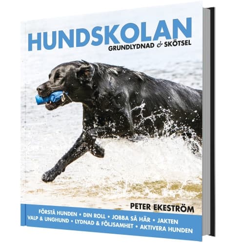 Hundskolan : grundlydnad & skötsel (inbunden)