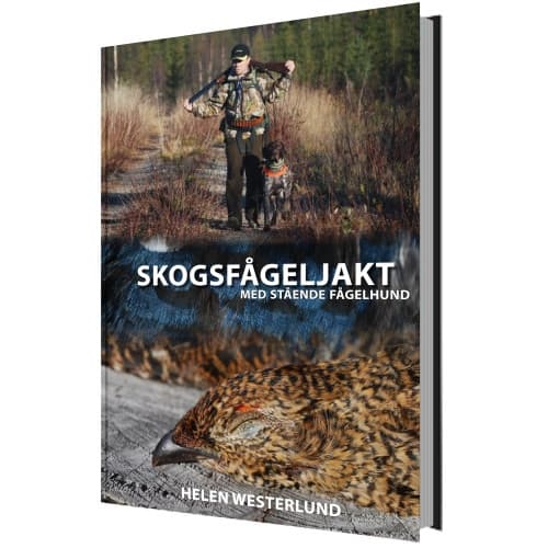 Skogsfågeljakt med stående fågelhund (inbunden)