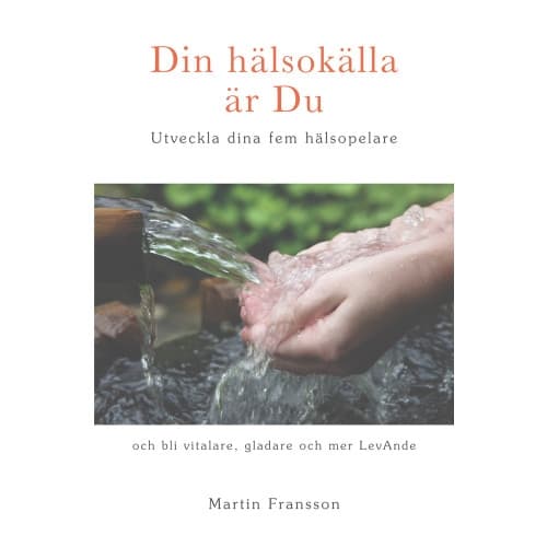 Din hälsokälla är Du - Utveckla dina fem hälsopelare (häftad)
