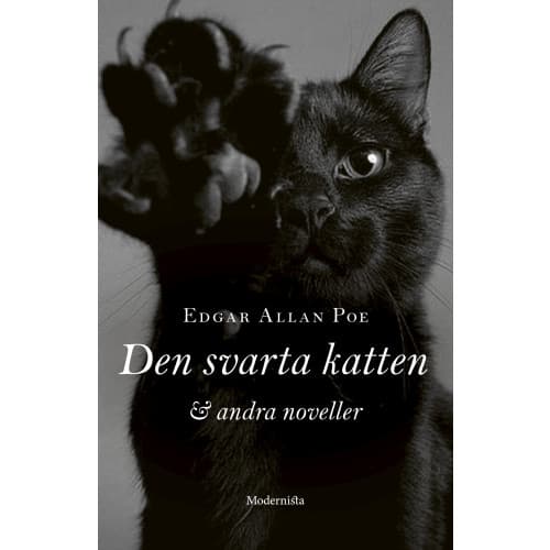 Den svarta katten och andra noveller (inbunden)