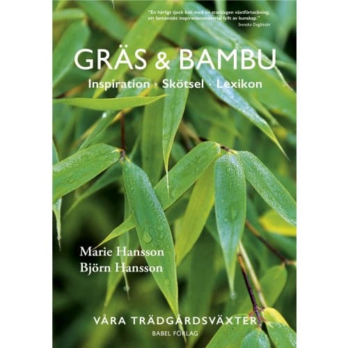 Gräs & bambu : inspiration - skötsel - lexikon (inbunden)