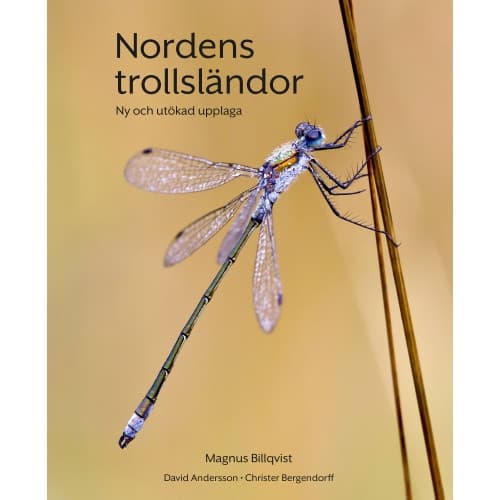 Nordens trollsländor : ny och utökad upplaga (bok, flexband)
