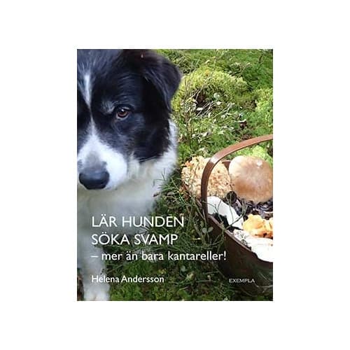 Lär hunden söka svamp - mer än bara kantareller! (bok, danskt band)