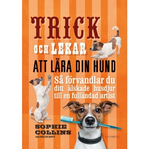 Trick och lekar att lära din hund : så förvandlar du ditt älskade husdjur.. (inbunden)
