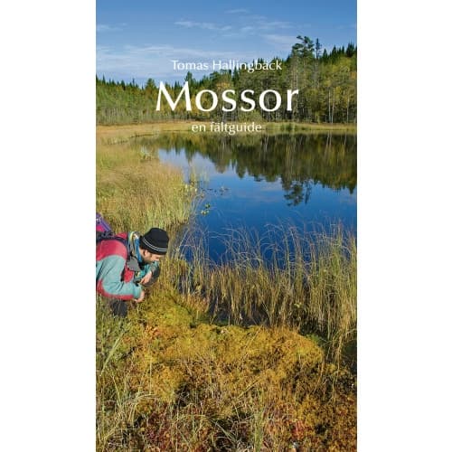 Mossor - en fältguide (inbunden)